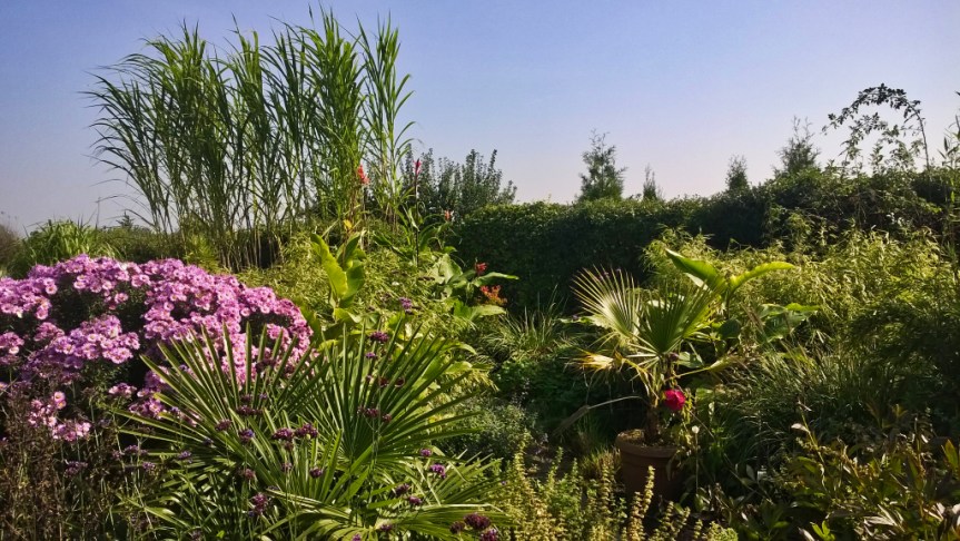 Od nasiona i bez&nbsp;prądu