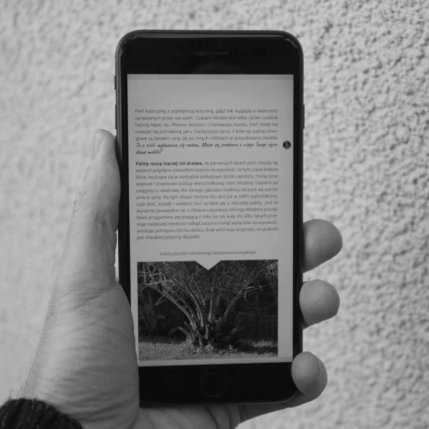 Książka (e-book) o palmach&nbsp;mrozoodpornych!
